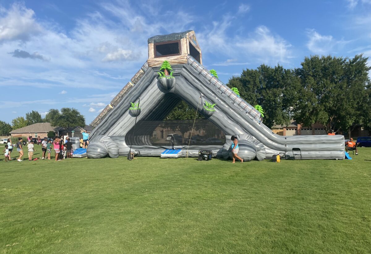Party in the Park